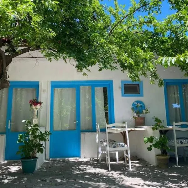 Hancı Pansiyon，位于埃德雷米特的酒店