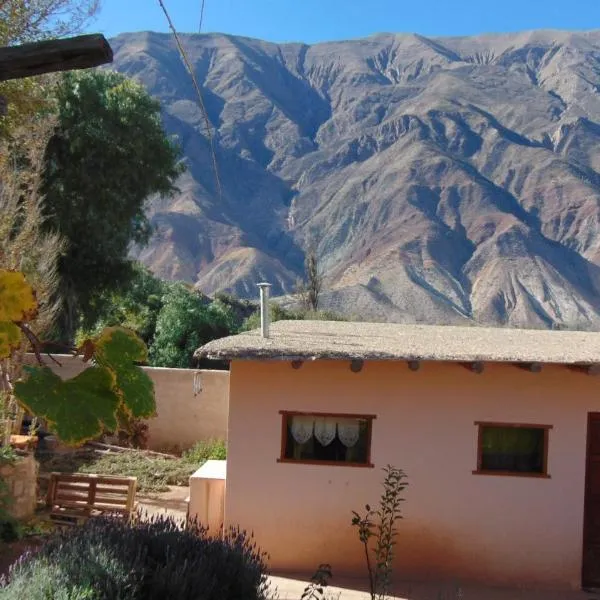 Cabaña colibrí，位于麦马拉的酒店