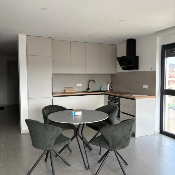Apartment Delux，位于波素斯捷的酒店