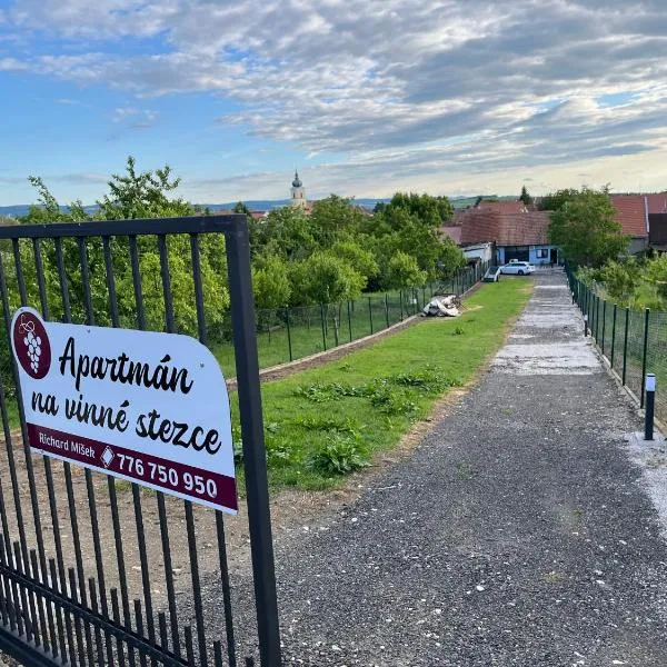 Apartmán na vinné stezce，位于Blatnice的酒店