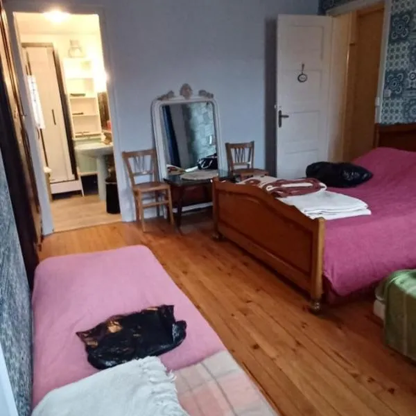 Chez Virginie - chambre du Bourg，位于卢尔德的酒店