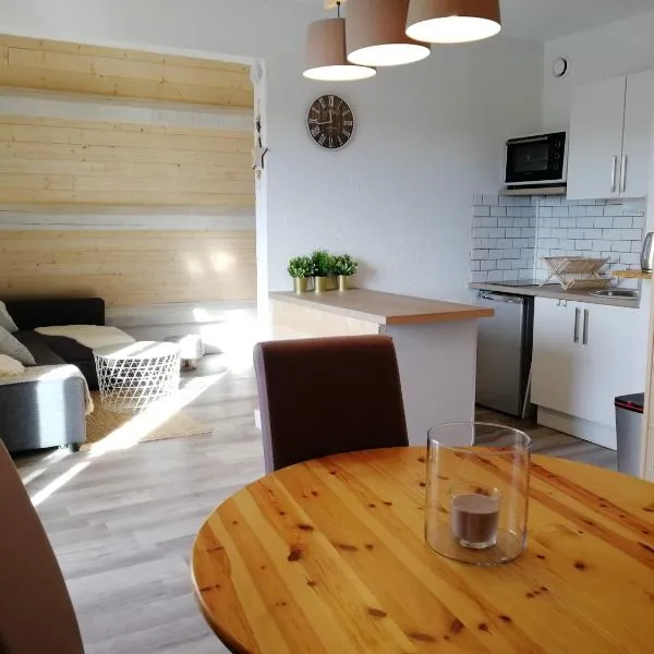 Appartement au pied des pistes,位于蒙特克拉的酒店