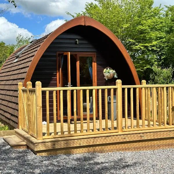 Cosy Pod by The Moor & Fishing，位于Cheriton Bishop的酒店