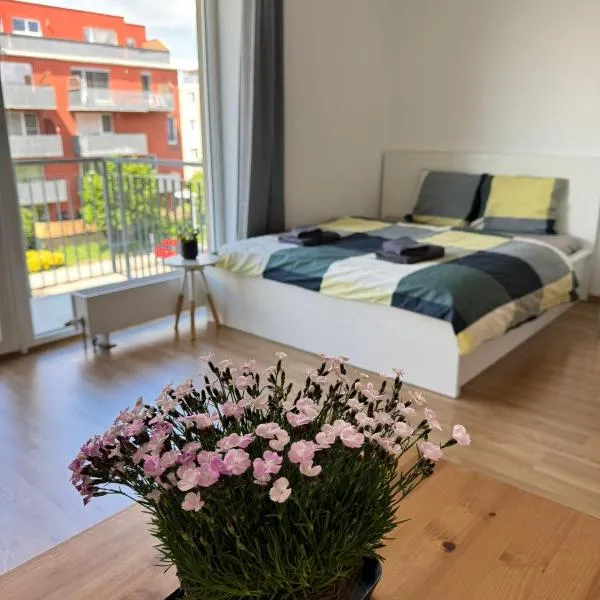 Airport Apartman Víšek，位于Chýně的酒店
