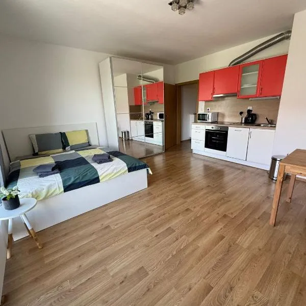 Airport Apartman Víšek，位于Chýně的酒店