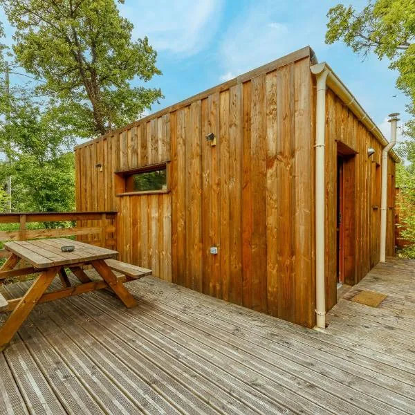 Gîte l'Acacia 3 à 6 personnes，位于Blésignac的酒店