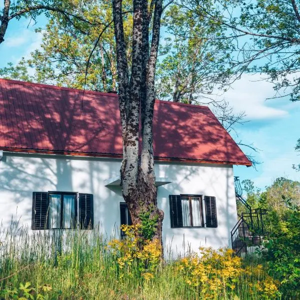 Eco House Nevidio，位于Šavnik的酒店