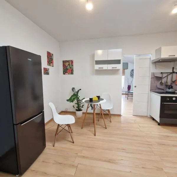 Apartament Wodzisław Śląski Blisko granicy，位于希隆斯克地区沃济斯瓦夫的酒店