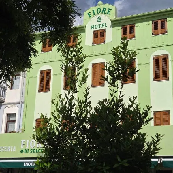 Fiore Hotel，位于塞尔瑟的酒店