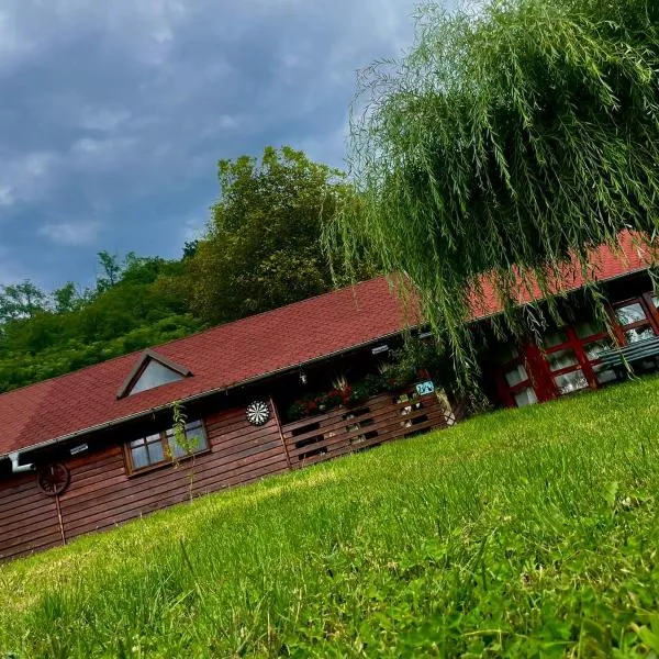 Cabanuta de sub deal，位于大盐矿镇的酒店