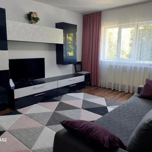 Penty Apartament，位于苏恰瓦的酒店