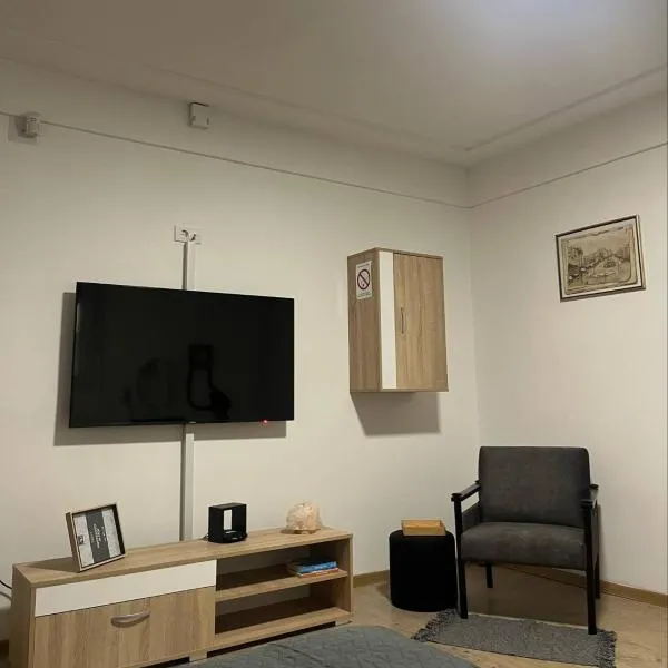 Aria Central Apartment，位于斯梅代雷沃的酒店