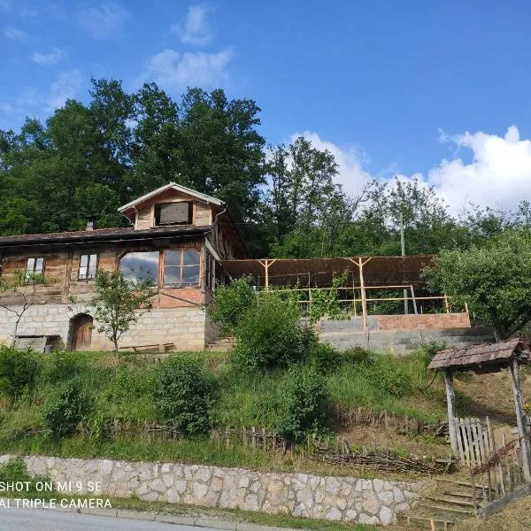 Guest House Veliki Grabovski，位于Grab的酒店
