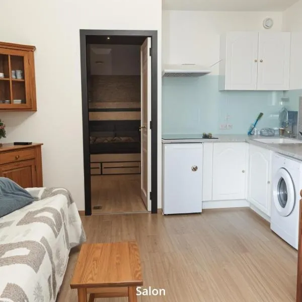 Appartement pour 4 personnes au pied des pistes，位于沙泰勒的酒店