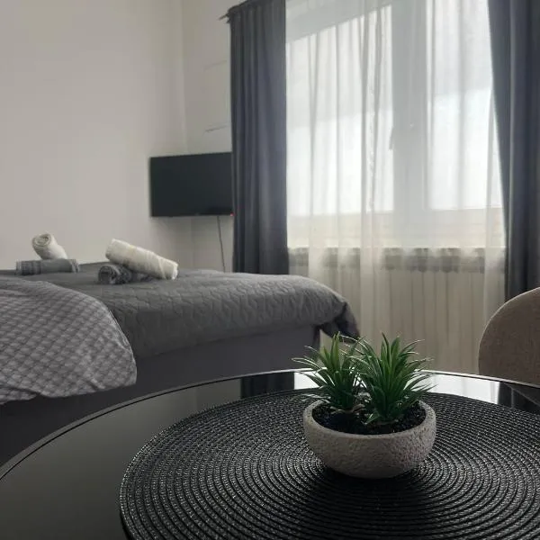 ROCK Studio Apartman，位于波素斯捷的酒店