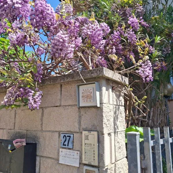 Casa dei glicini，位于福洛尼卡的酒店