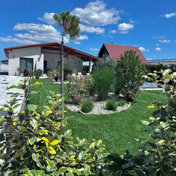 Vila Alma，位于Ilganii de Jos的酒店