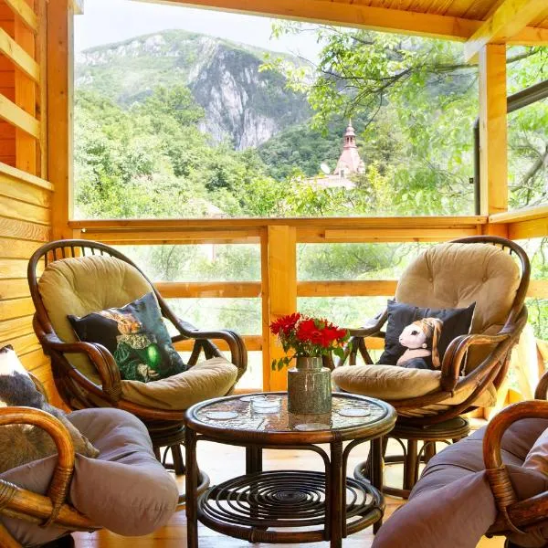 Casa Decebal，位于伯伊莱海尔库拉内的酒店
