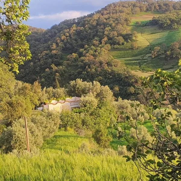 Gîte sanhaji tazekka，位于塔扎的酒店