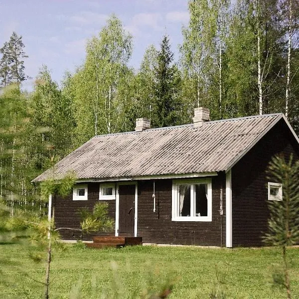 Off-Grid Forest Cabin with Private Sauna，位于Niitsiku的酒店
