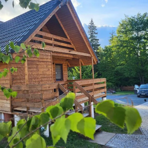 Domki Jagodna Spalona 6D-2 jacuzzi，位于Spalona的酒店