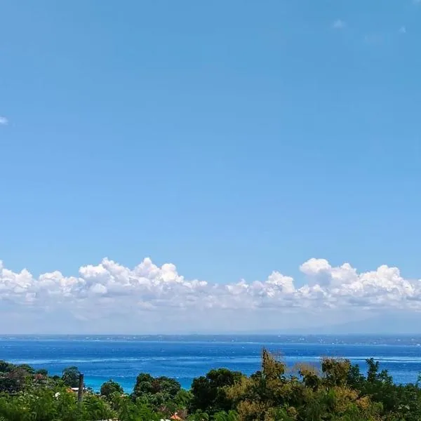 Radiance Ocean View Private Villas Lembongan，位于蓝梦岛的酒店