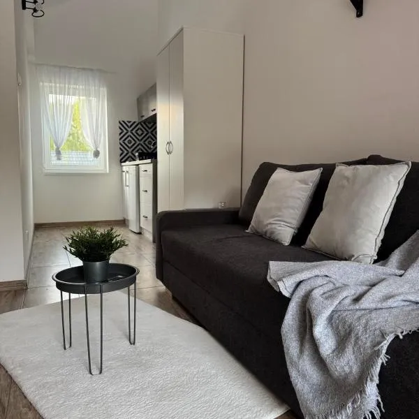 Apartamenty Jeżynowa 20，位于罗威的酒店