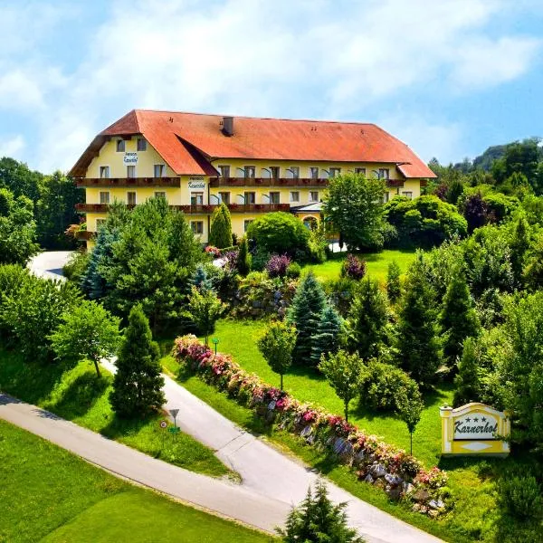Dreilandhof，位于菲尔斯滕费尔德附近洛伊佩尔斯多夫的酒店