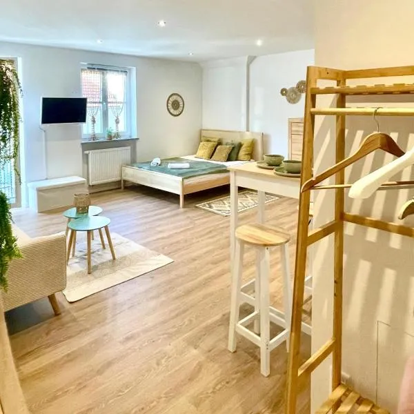 Altstadt INsel - workaction - free parking - Audi - Balkon - Aufzug，位于因戈尔施塔特的酒店