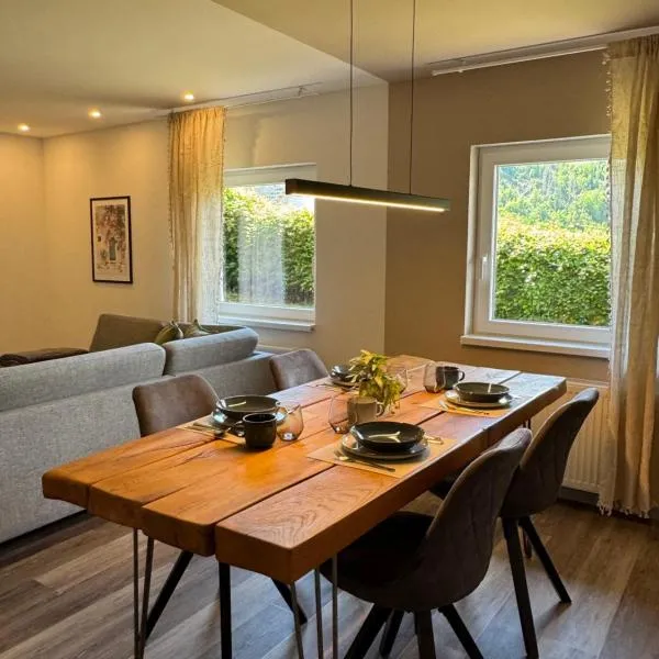 Studio Liva Modernes Apartment mit kostenlosem Parkplatz，位于Herdorf的酒店