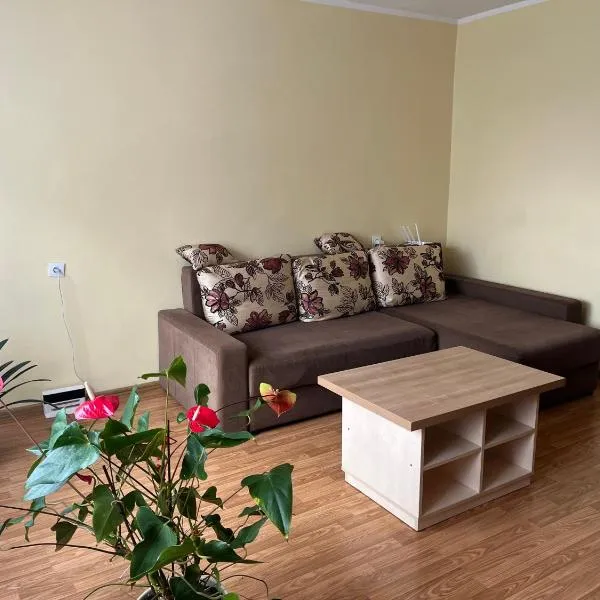 Butas prie tvenkinio，位于Varėna的酒店