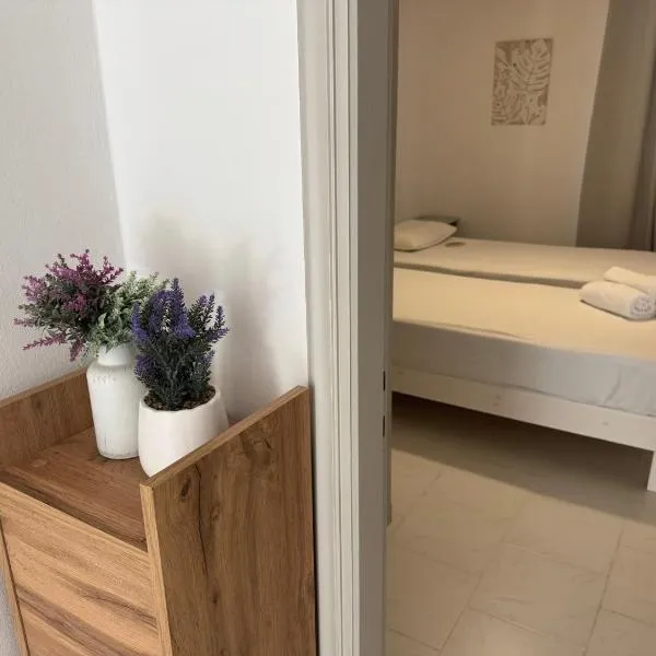 Koala Place，位于瓦西利基的酒店