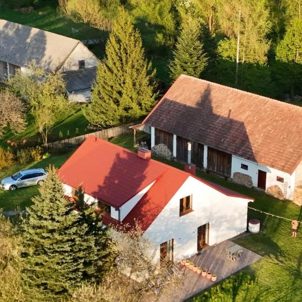 Śpimy u Dziadków - APARTAMENTY BIESZCZADY，位于Nowosielce Kozickie的酒店
