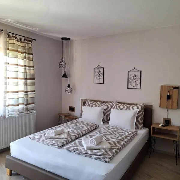 Guest House Dimitrije，位于尼什矿泉村的酒店
