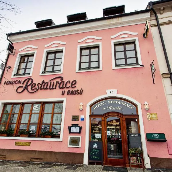 Penzion U Raušů，位于Velká Bíteš的酒店