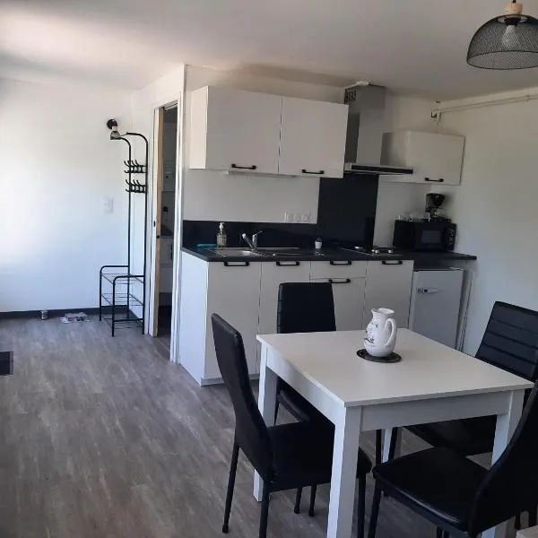 Appartement T1 bis proche centre ville，位于菲雅克的酒店