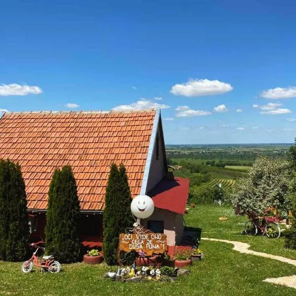Kuća Čerevićki Vidikovac，位于Čerević的酒店