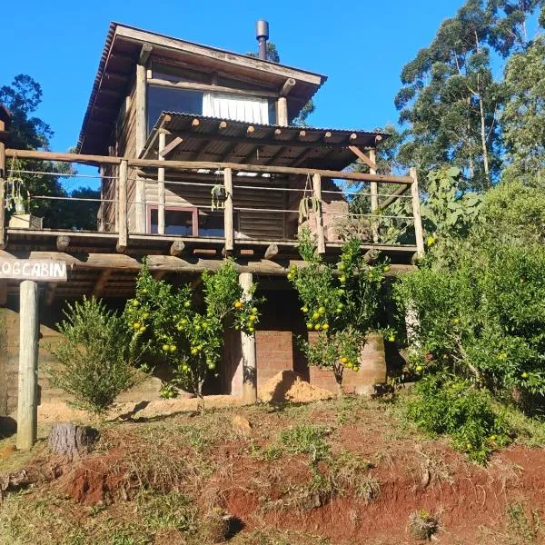 Cabana rustica logcabin，位于奥索里乌的酒店