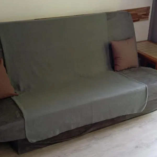 Appartement au Cœur du Col de Rousset，位于Saint-Agnan-en-Vercors的酒店
