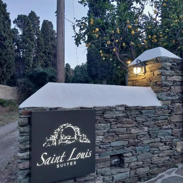 圣路易斯旅馆，位于安德罗斯的酒店
