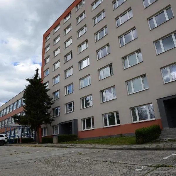 Ubytování Na Kopečku，位于塔博尔的酒店