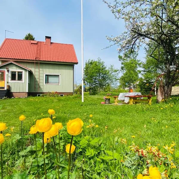 Toivola , Joroinen，位于Joroinen的酒店