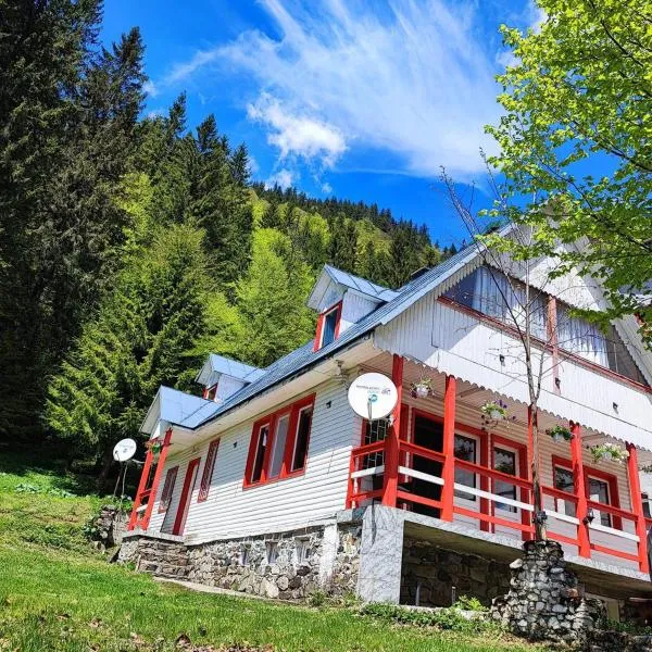 Cabana Dara，位于Cumpăna的酒店