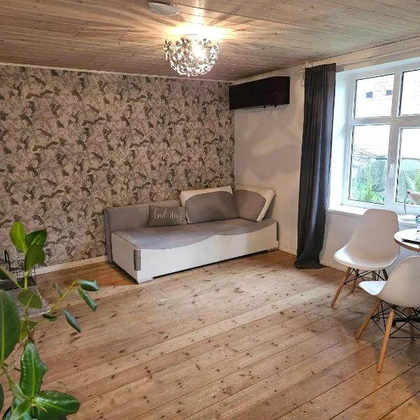 Noorteka 4 Apartment，位于派尔努的酒店