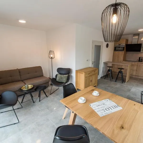 Apartmány Moldau Park Nová Pec - Lipno，位于诺瓦佩奇的酒店