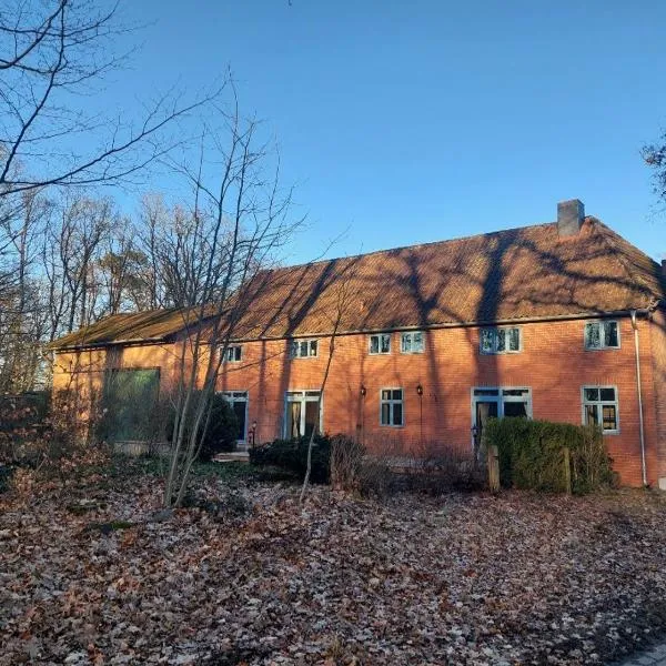 ALTE SCHEUNE Ferienwohnungen - Wohnung 4，位于Suderburg的酒店