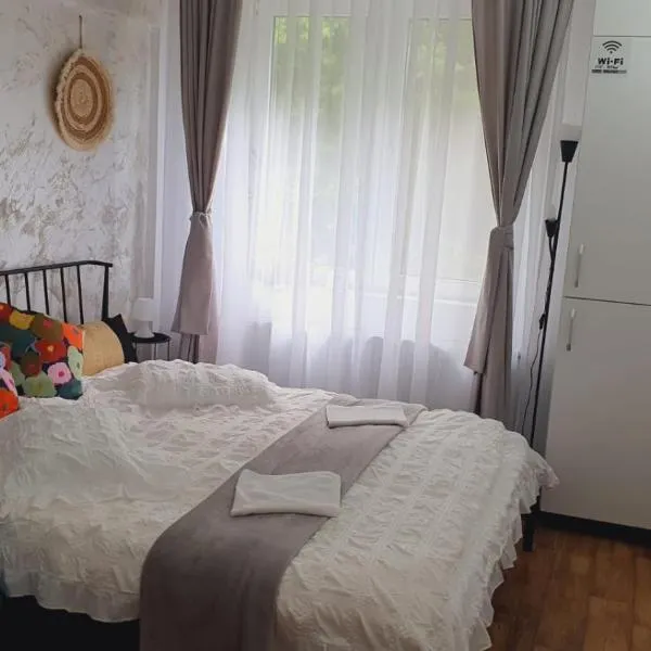 Garsoniera Ioana，位于锡纳亚的酒店