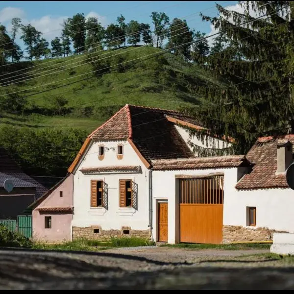 Bed & Wine Transylvania，位于Nemşa的酒店