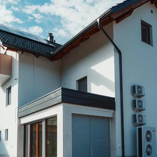 Apartmaji Laznik，位于Ljubno的酒店