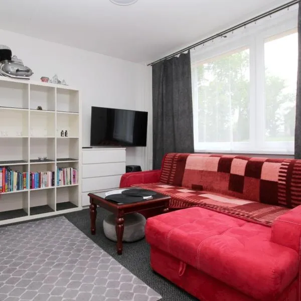 Apartmán Rokytnička，位于洛克尼册弗奥里克奥拉赫的酒店